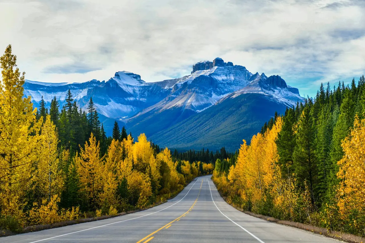 Una carretera recta entre bosques de álamos amarillos en otoño, con una cordillera de cumbres nevadas cerrando el horizonte.