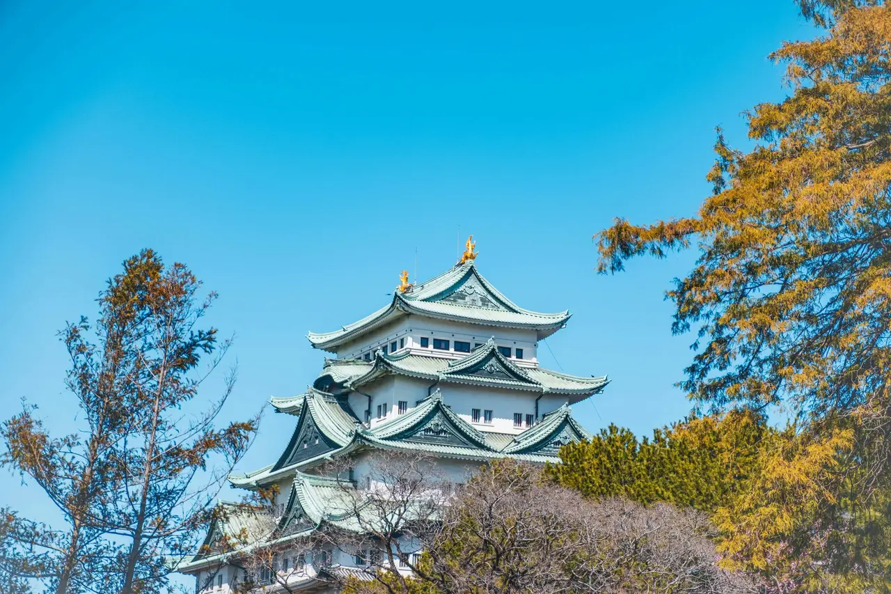 Un castillo japonés de varios tejados escalonados, con adornos dorados en el caballete y muros blancos, asomando entre árboles de otoño bajo un cielo despejado.