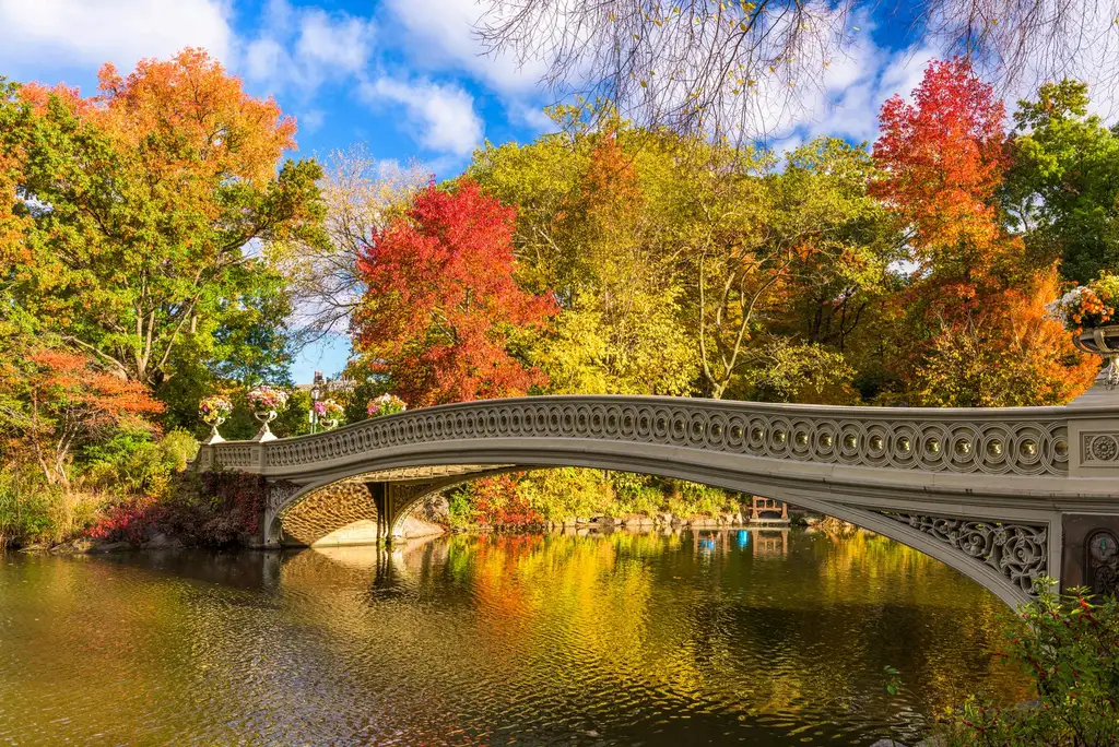 El puente Bow de Central Park cruzando el lago, con los árboles del parque en color de otoño reflejados en el agua.