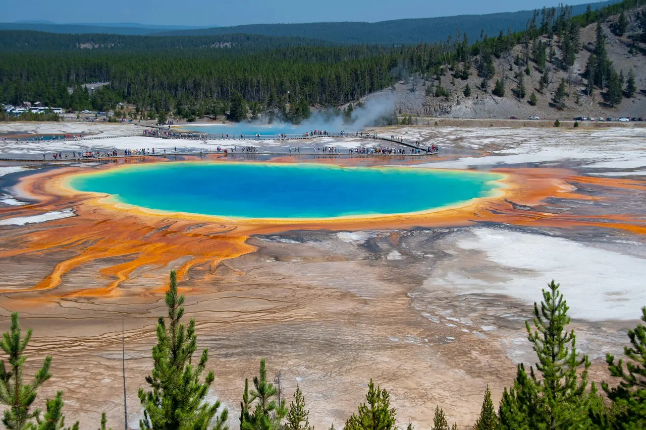 La fuente termal Grand Prismatic de Yellowstone vista desde alto, con el centro azul intenso rodeado de anillos naranjas y la pasarela de visitantes al fondo.
