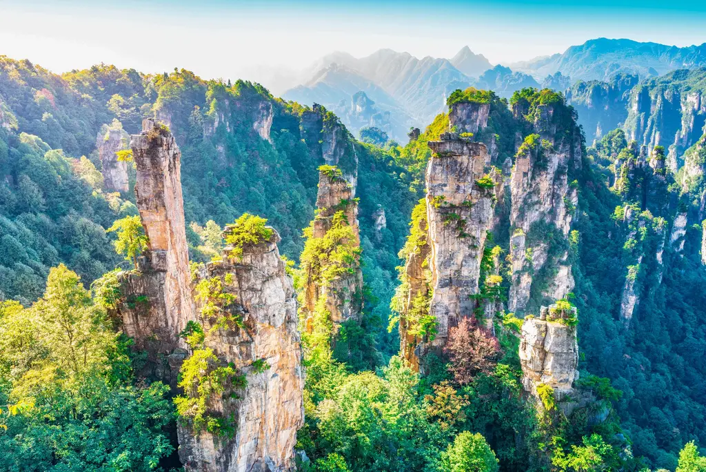 Los pilares de arenisca de Zhangjiajie alzándose verticales entre la vegetación, con las paredes de roca cubiertas de árboles y la bruma entre las columnas.